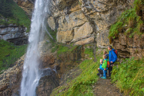 Alles Alm - Wanderurlaub in Radstadt