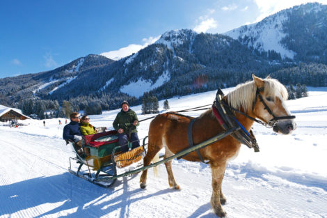 Pferdeschlittenfahrten - Winterurlaub in Radstadt